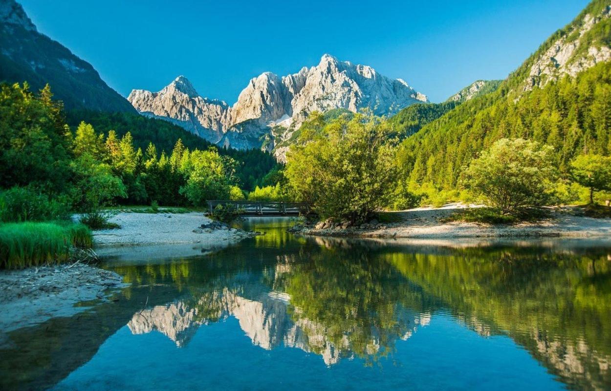Bor In Bor Luxury Apartment With Sauna & Garden - Kranjska Gora Eksteriør billede