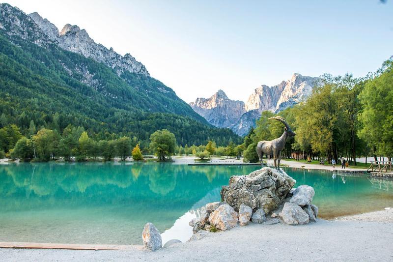 Bor In Bor Luxury Apartment With Sauna & Garden - Kranjska Gora Eksteriør billede